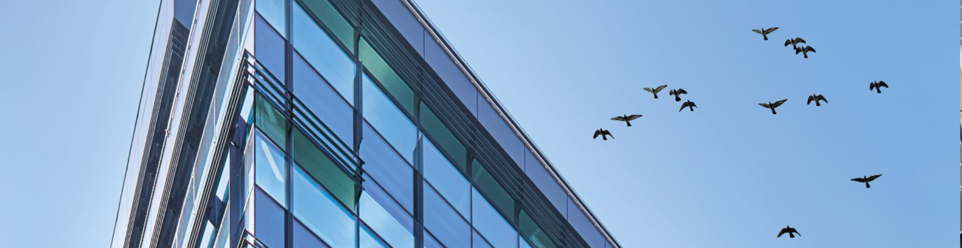 guardian cover simpas live better