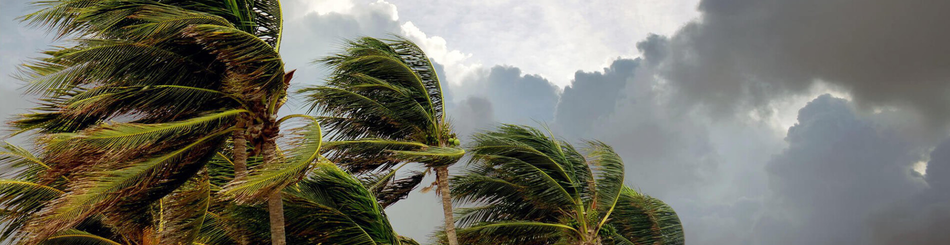 impact glass in florida cover simpas live better